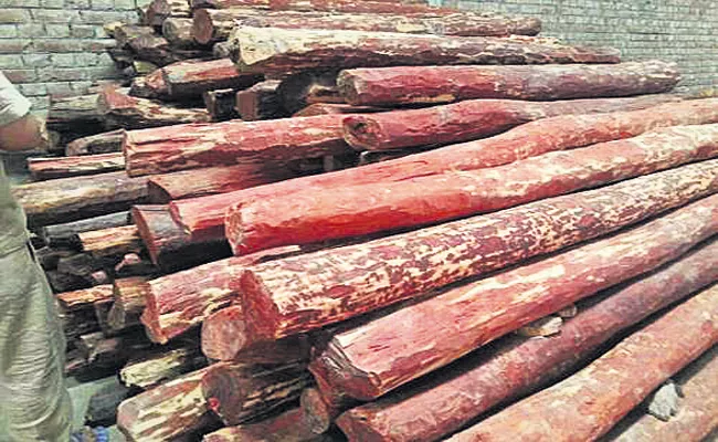 AP Govt recently earned Rs 182 crore from sale of red sandalwood - Sakshi