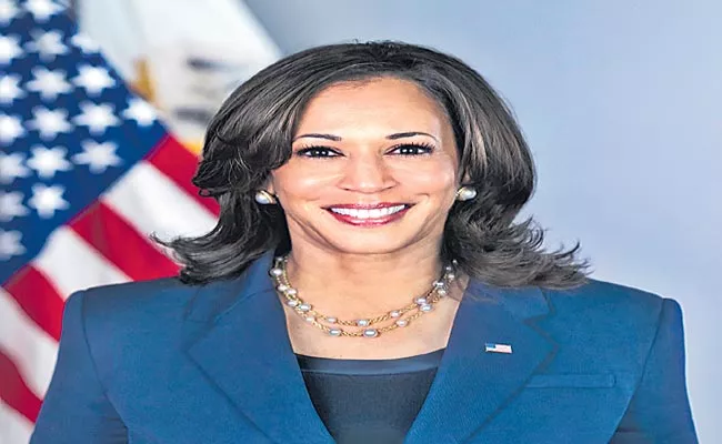 A Book On The Rise Of Indian Americans Inspired By Kamala Harris - Sakshi