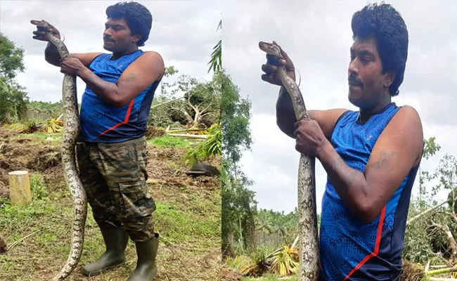 6 Foot Python Found In Garden In Shivamogga District - Sakshi