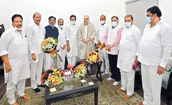 Telangana BJP leaders met Amit Shah In Delhi - Sakshi