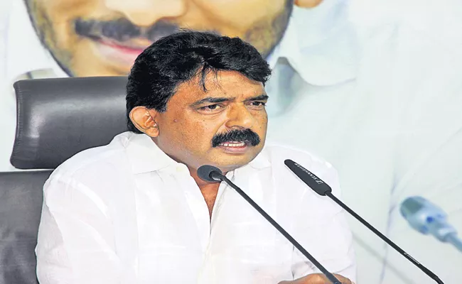 Perni Nani Comments On Chandrababu And TDP - Sakshi