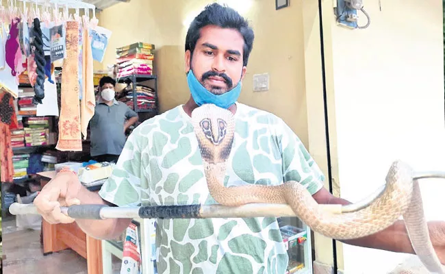 Kranti Kumar Of Jangareddygudem Become The Savior Of The Snakes - Sakshi