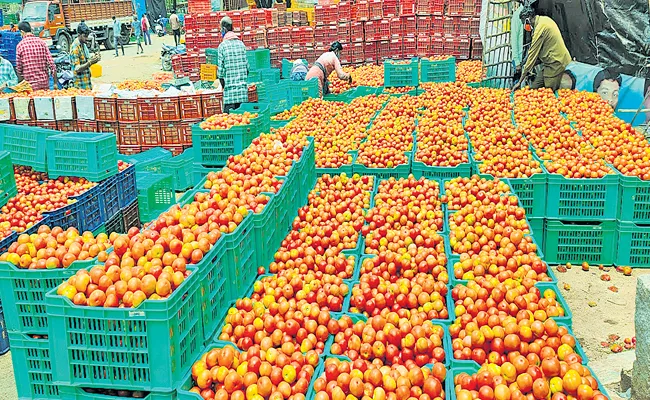 Price Of Tomatoes Shoot Up To Rs 22 Per Kilo - Sakshi