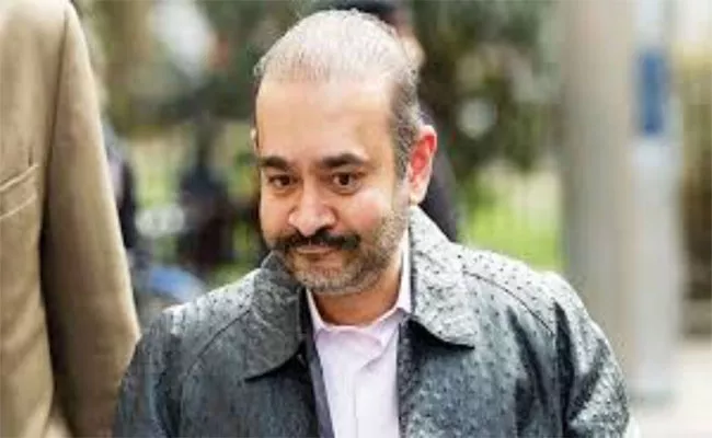 Nirav Modi Says Extradition To India Would Worsen Suicidal Feelings - Sakshi