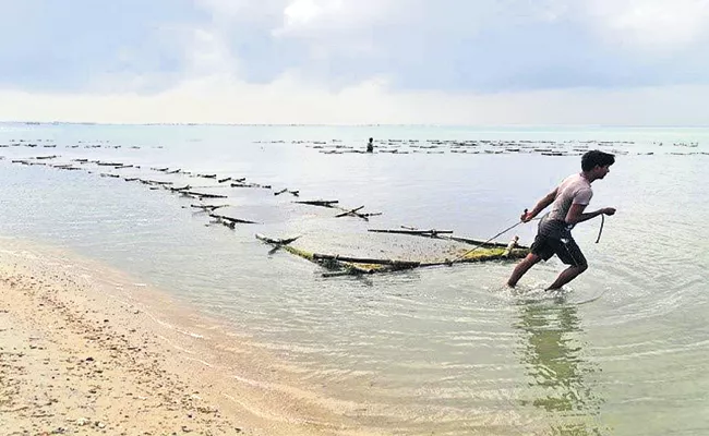 Andhra Government New employment for fishermen - Sakshi