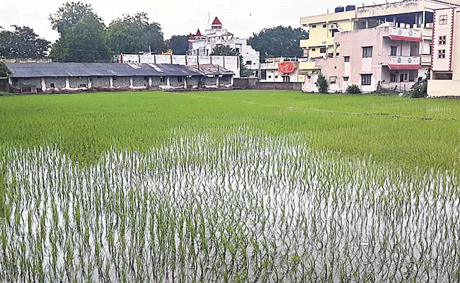 Hyderabad: Man Builds Hitech Farm Can Produce Best Yields Results Meerpet - Sakshi