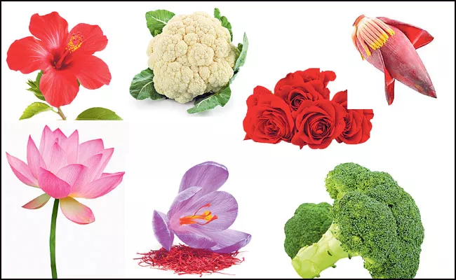 Edible Flowers List For Cooking As a Vegetable In Telugu - Sakshi