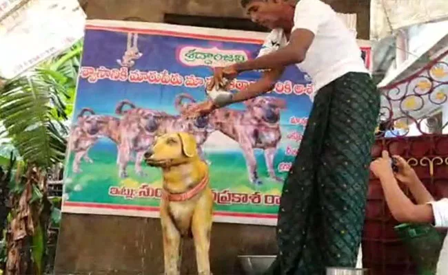 AP: Man Erects Bronze Statue Of His Late Dog on Death Anniversary - Sakshi