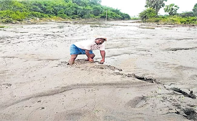 Crops In Several Districts Were Submerged Due To Heavy Rains - Sakshi