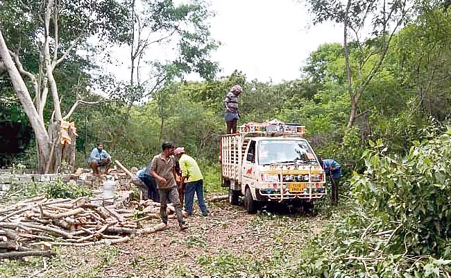 Hyderabad: Private Persons Cuts Trees Illegally Near Uppal Area - Sakshi