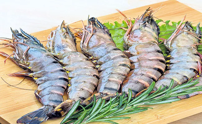 Andhra Pradesh Tiger prawns are returning to cultivation - Sakshi