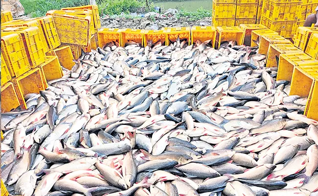 Andhra Pradesh To Implement Organic Aquaculture Policy - Sakshi