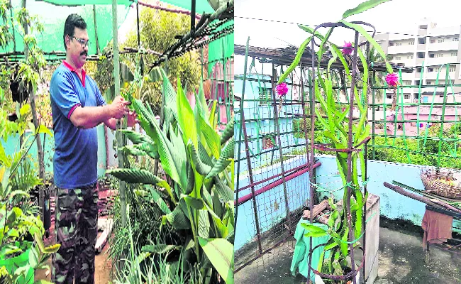 Terrace Garden: Retired Army Officer Beautiful Midde Thota Visakhapatnam - Sakshi