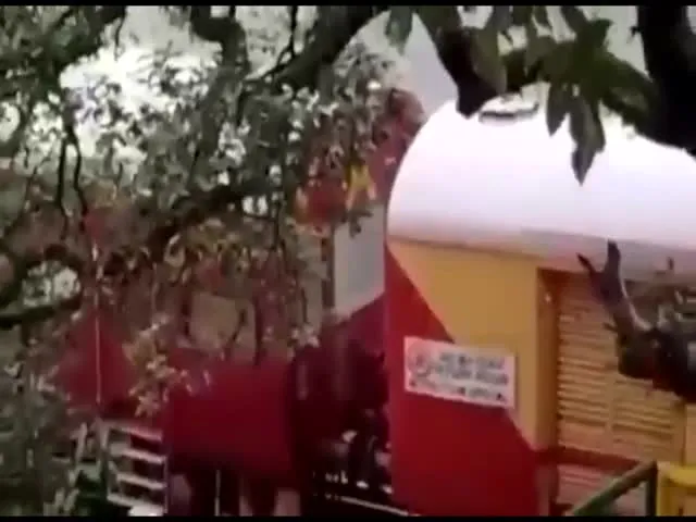 Viral Video: Train Passing Through Goa Waterfall In Heavy Rain