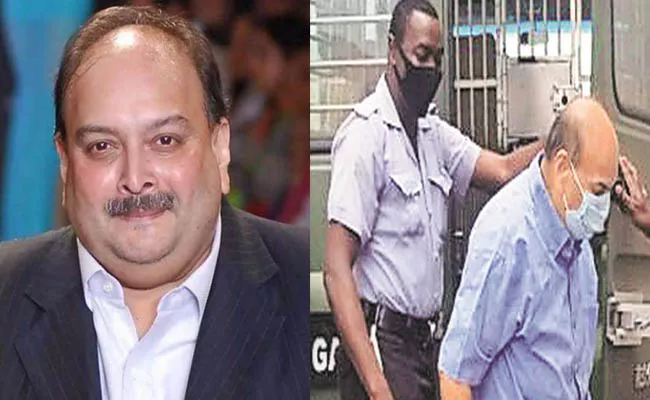 Mehul Choksi Kidnap: Total Nonsense says Dominica PM  - Sakshi