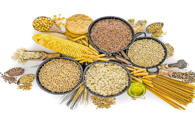 Whole Grains Are Better For Diabetes Says ICRISAT - Sakshi