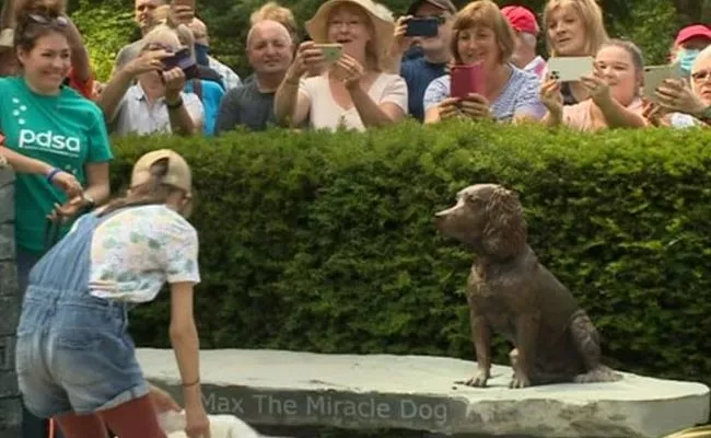 Helping Thousands During Pandemic Therapy Dog Max Gets Bronze Statue - Sakshi