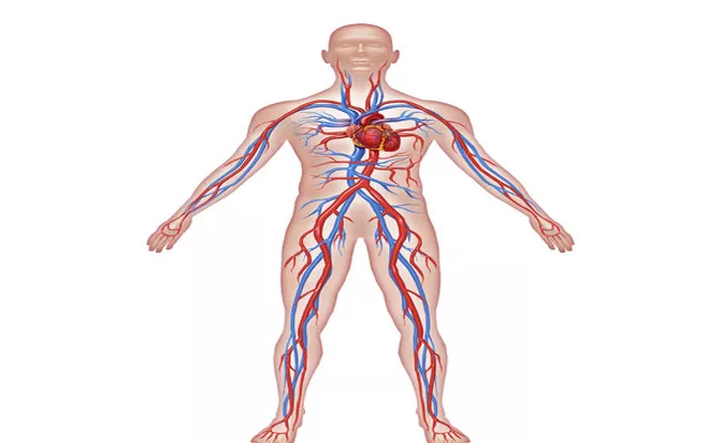 Post COVID Complications, Long Term Effects Of Corona Virus - Sakshi