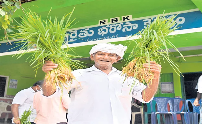 Government of Andhra Pradesh Celebrates July 8 As Farmers Day - Sakshi