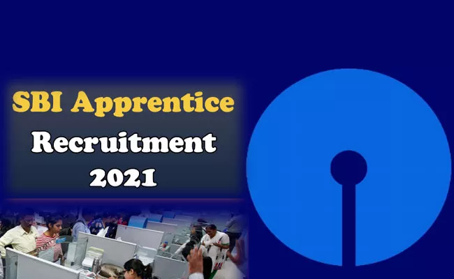 SBI Apprentice Recruitment 2021: Vacancies, Eligibility, Stipend Details Here - Sakshi