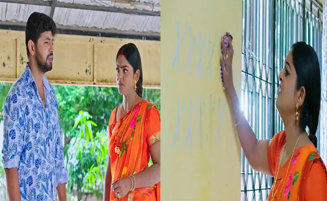 Karthika Deepam Serial: Monitha In Shock After Karthik Intimidating Statement - Sakshi