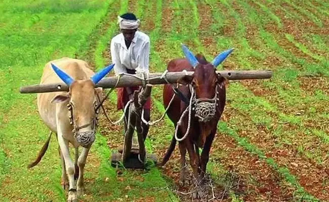 Farmers Day is celebrated all over Andhra Pradesh - Sakshi