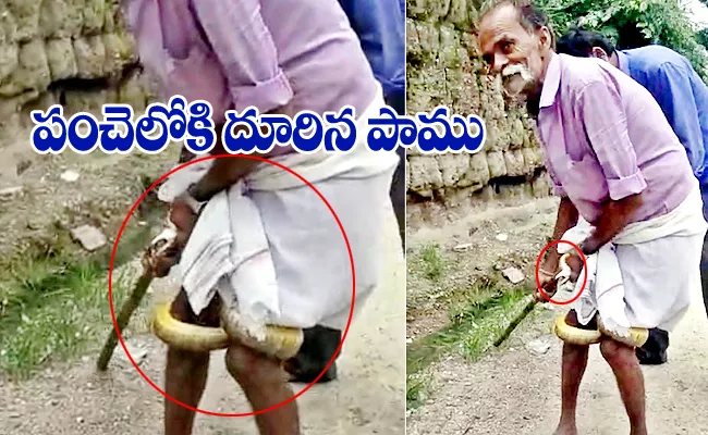 Snake Attack On Man In Manakondur At Karimnagar District - Sakshi