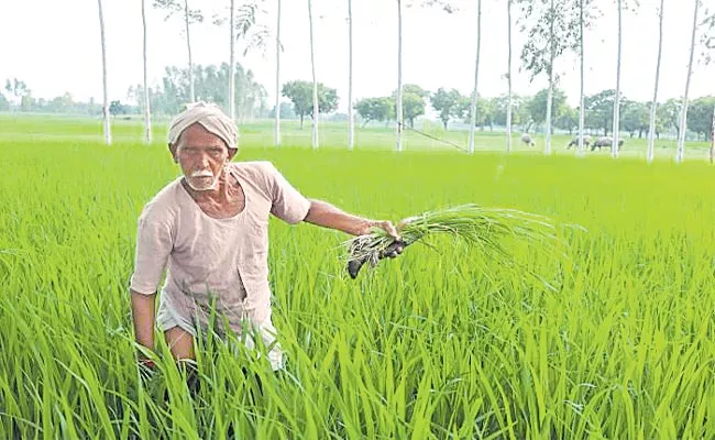 Telangana: Central Assistance To Farmers With Various Problems - Sakshi