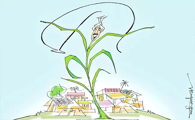 Vardhelli Murali Article On Rural Economy Andhra Pradesh - Sakshi