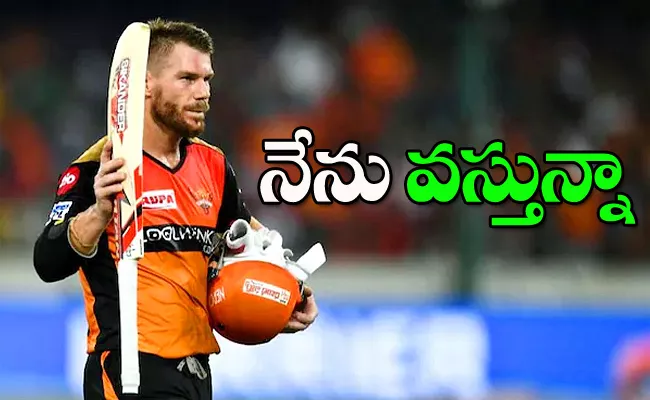 David Warner Confirms His Participation In Second Phase Of IPL 2021 - Sakshi