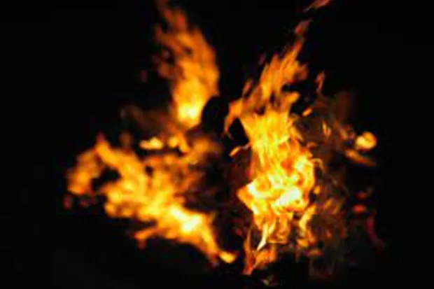 Tamil Nadu: Pregnant Woman Burns Herself To Death Over Dowry Harassment By Husband - Sakshi