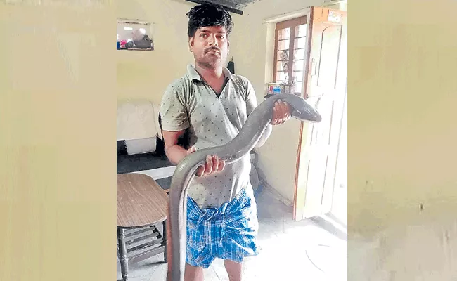 Nizamabad: Big Malugu Papera Fish Found In Nizamsagar Canal Warne - Sakshi