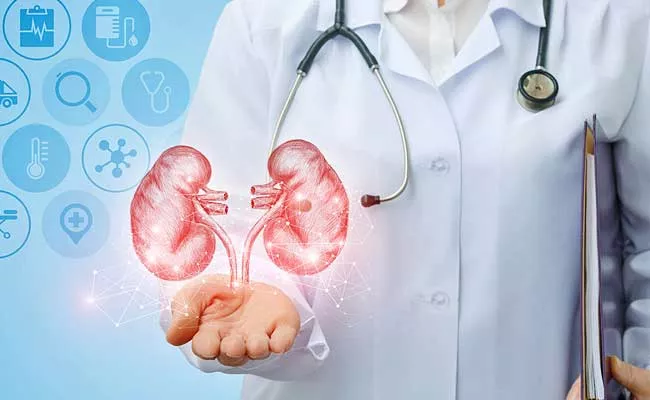 Five Kidneys In Body Chennai Man Ends Up With Three Transplants - Sakshi