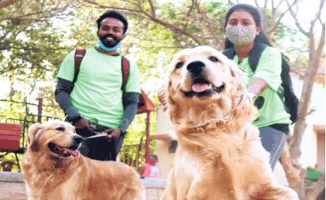 Karnataka: Bengaluru Palike New Guidelines For Dog Owners - Sakshi