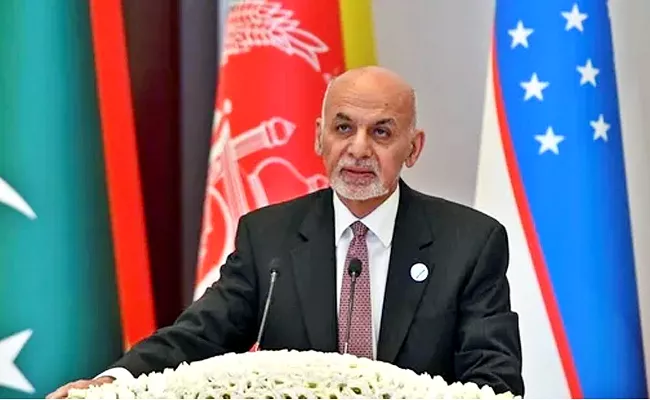 Afghanistan Government Is Ready to Surrender To Taliban - Sakshi