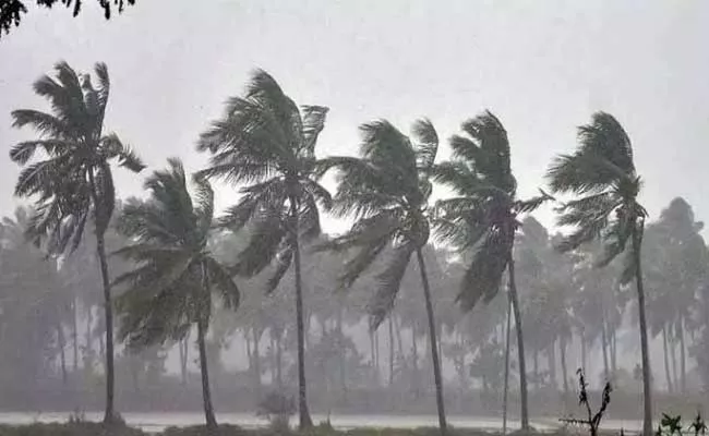 Low Pressure Continues In West Central Bay Of Bengal - Sakshi