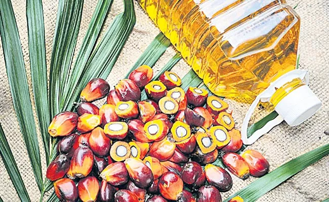 Palm Oil Import Duty Reduction Disappoints Farmers - Sakshi