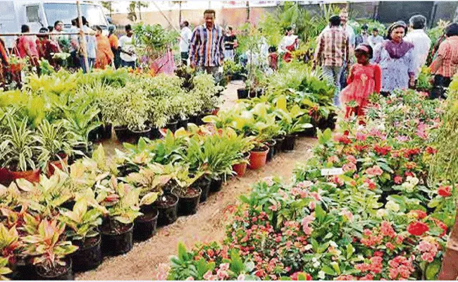 Five Days Grand Nursery Mela in Hyderabad, Peoples Plaza - Sakshi