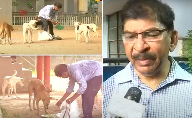 Hyderabad Dog Lover Who Is Taking Care of Street Dogs - Sakshi