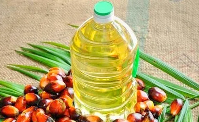 Central Goverment Approved National Mission On Edible Oils Palm Oil Production - Sakshi