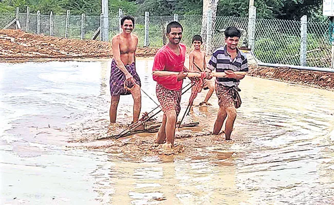 Two Young People As Buffaloes Like To Plow The Agricultural Land - Sakshi