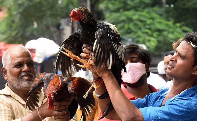 Natukodi Price Hike In Hyderabad Due To Bonalu Festival - Sakshi