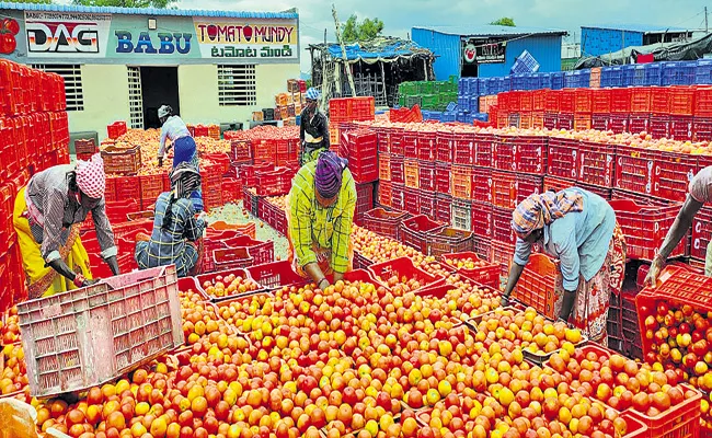 Tomato prices Falling In Andhra Pradesh - Sakshi