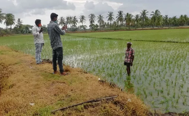 E Crop Registration In Bhimavaram Over Farmers Welfare - Sakshi