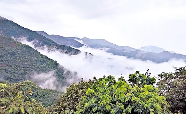 Photo Feature: Araku Valley Snow Clouds beauty - Sakshi