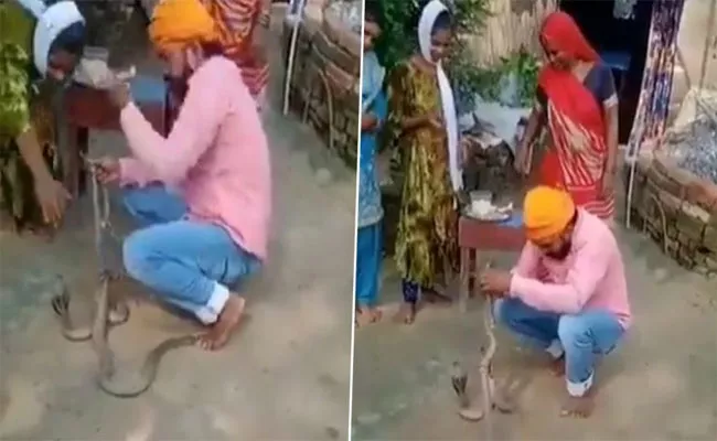 Viral Video: Bihar Man Attempts To Tie Rakhi To Pair of Snakes, Dies After It Bites - Sakshi