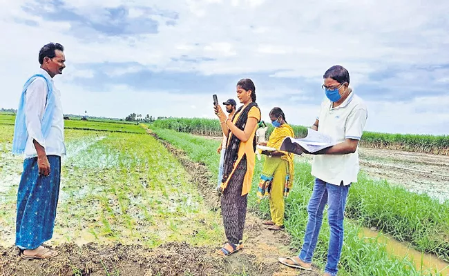 Kharif cultivation target is above 92 lakh acres - Sakshi