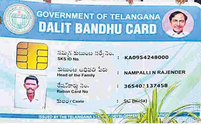 Telangana: Govt Implementation Of Dalit Bandhu Through Web - Sakshi