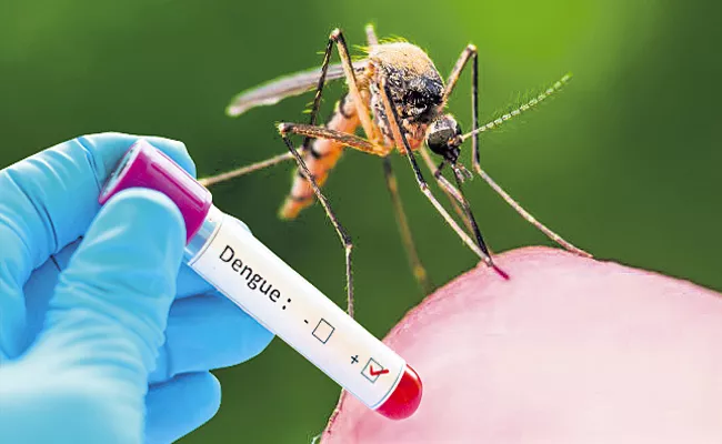 Andhra Pradesh Government alert on dengue fiver - Sakshi