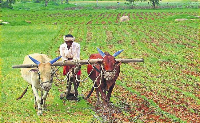 Andhra Pradesh Government has taken a key decision support Farmers - Sakshi